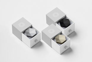 精致美学，悦然新生 Plume化妆品品牌形象与产品设计全解析